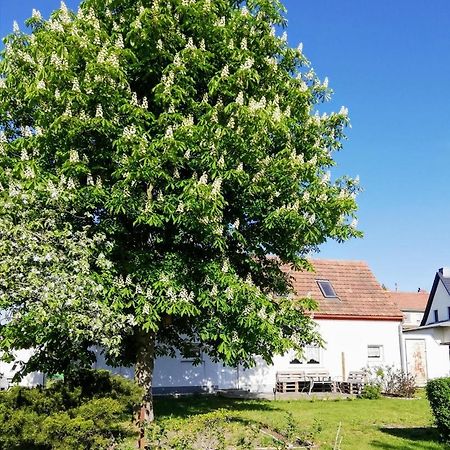 Ferienwohnung Lodig Gross Sarchen Екстер'єр фото