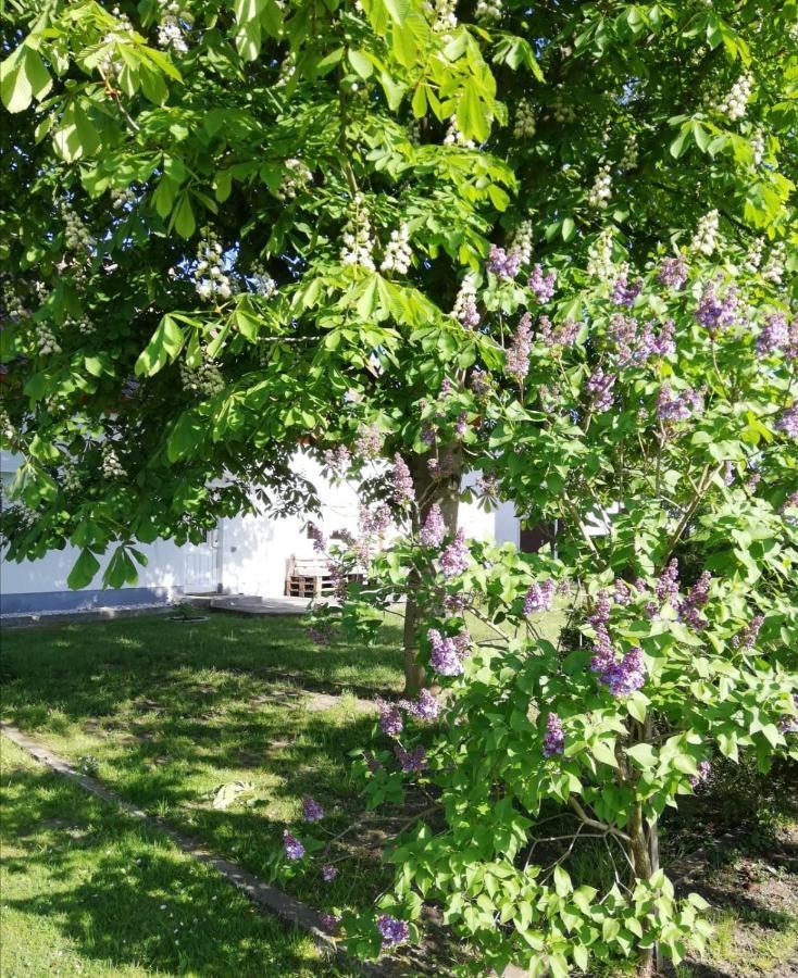 Ferienwohnung Lodig Gross Sarchen Екстер'єр фото
